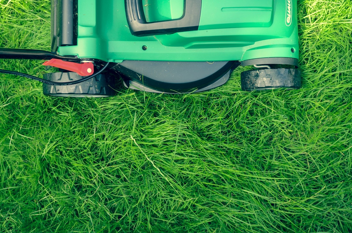 Green commercial mower close-up